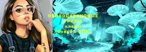 хмурый Балабаново