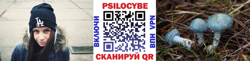 Псилоцибиновые грибы мицелий Иноземцево