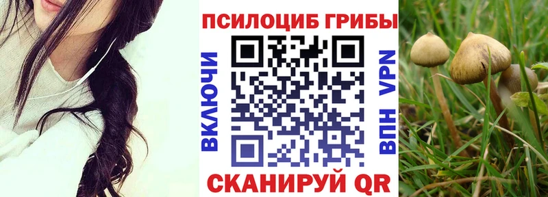 где купить   Иноземцево  Псилоцибиновые грибы мухоморы 